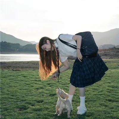 明珠游龙